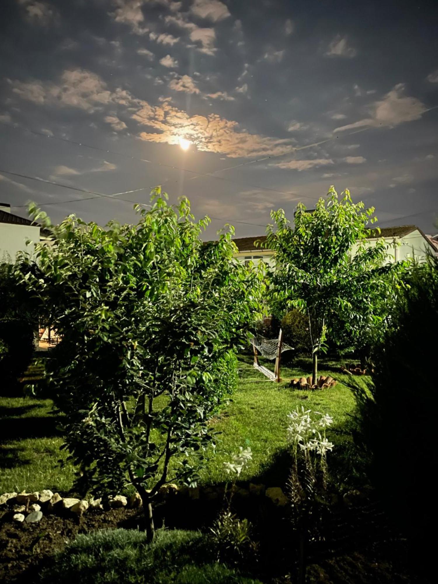 Complex Minerva Hotel Costinesti Bagian luar foto